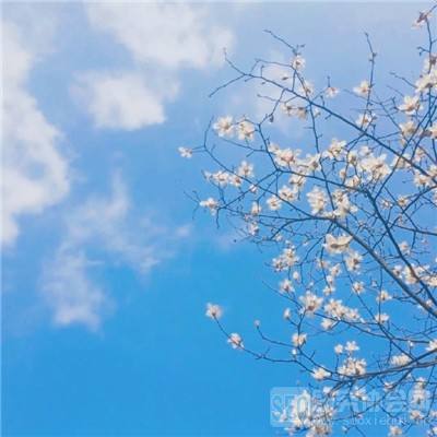 吾命不由天官方版下载