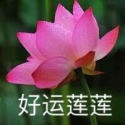 口袋妖怪重制快用版下载