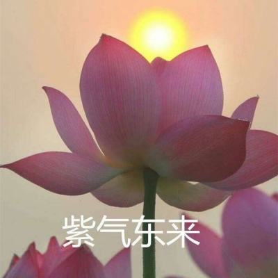 苍域仙途手游红包版下载